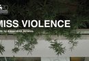 Miss Violence Official Trailer
